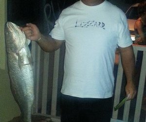 Overberg Kushengel se vangstes